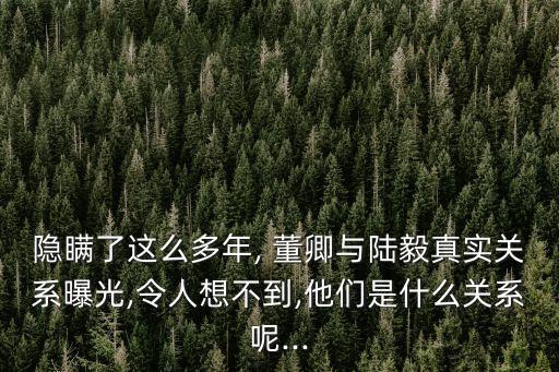 隱瞞了這么多年, 董卿與陸毅真實關系曝光,令人想不到,他們是什么關系呢...