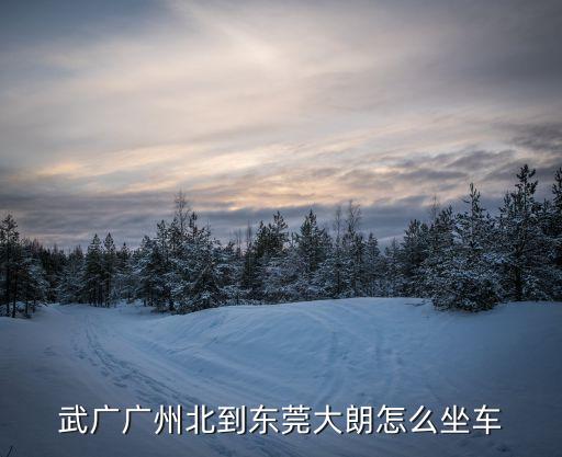 武廣廣州北到東莞大朗怎么坐車