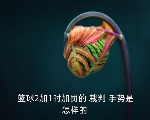 籃球裁判手勢