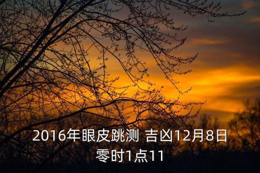 2016年眼皮跳測 吉兇12月8日零時1點11