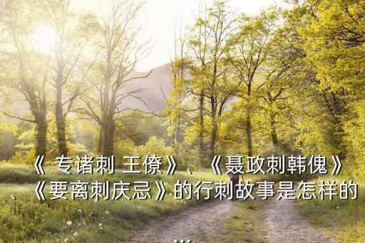 專諸刺王僚,專諸之刺王僚也,彗星襲月;聶政之刺韓傀也,白虹貫日