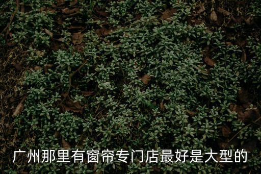 廣州那里有窗簾專門店最好是大型的