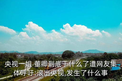 央視一姐 董卿到底干什么了遭網友集體呼吁:滾出央視,發生了什么事