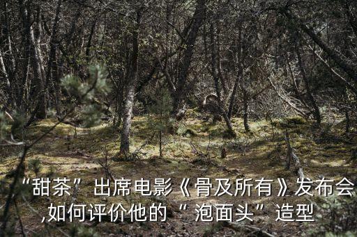 “甜茶”出席電影《骨及所有》發布會,如何評價他的“ 泡面頭”造型