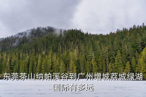 東莞茶山納帕溪谷到廣州增城荔城綠湖國際有多遠