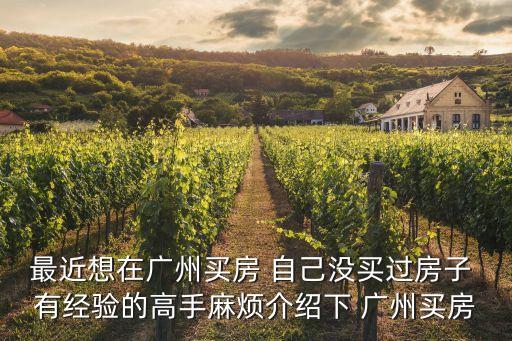 廣州買房的實際流程，最近想在廣州買房 自己沒買過房子 有經驗的高手麻煩介紹下 廣州買房