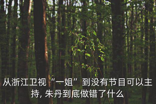 從浙江衛視“一姐”到沒有節目可以主持, 朱丹到底做錯了什么