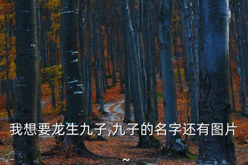 我想要龍生九子,九子的名字還有圖片～