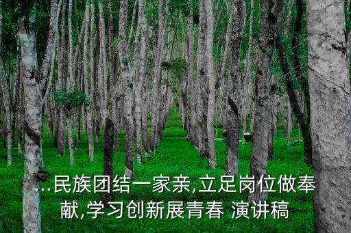 ...民族團結一家親,立足崗位做奉獻,學習創新展青春 演講稿