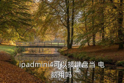 ipadmini4可以接鍵盤當 電腦用嗎