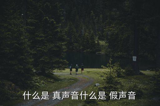 什么是 真聲音什么是 假聲音