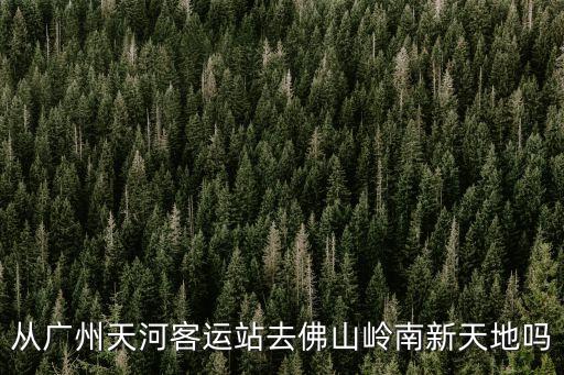 從廣州天河客運站去佛山嶺南新天地嗎