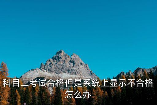 科目二考試合格但是系統(tǒng)上顯示不合格怎么辦