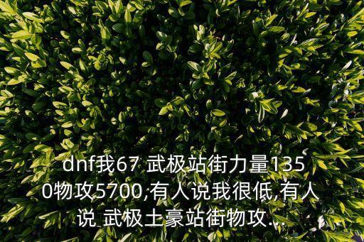  dnf我67 武極站街力量1350物攻5700,有人說我很低,有人說 武極土豪站街物攻...