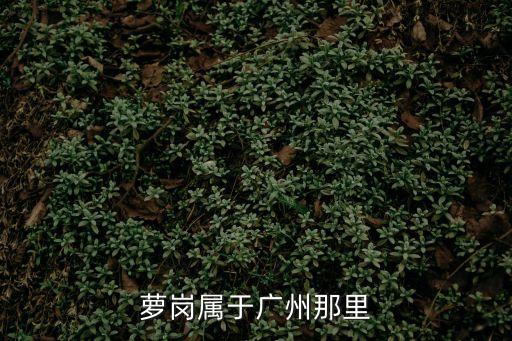 蘿崗屬于廣州那里