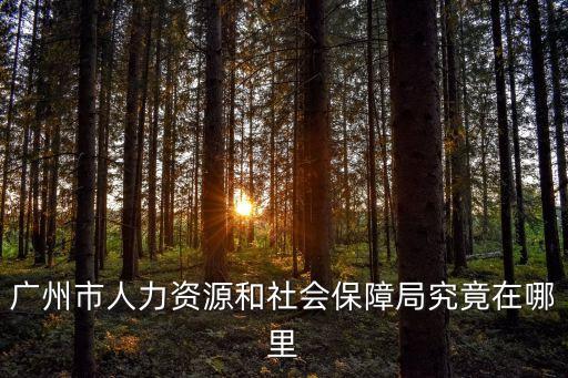 廣州市人力資源和社會保障局究竟在哪里