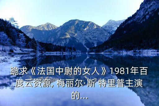 梅麗爾斯特里普,中國版梅姨馬蘇成為好萊塢大腕明星之一