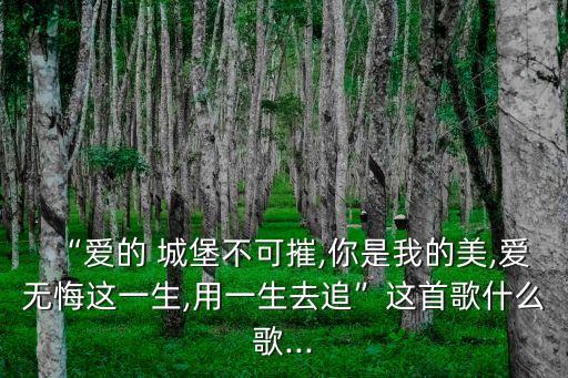“愛(ài)的 城堡不可摧,你是我的美,愛(ài)無(wú)悔這一生,用一生去追”這首歌什么歌...