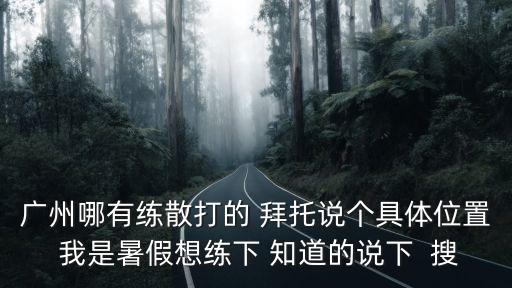 廣州哪有練散打的 拜托說個具體位置 我是暑假想練下 知道的說下  搜