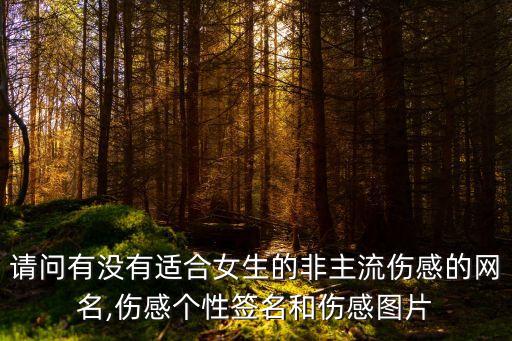請問有沒有適合女生的非主流傷感的網名,傷感個性簽名和傷感圖片