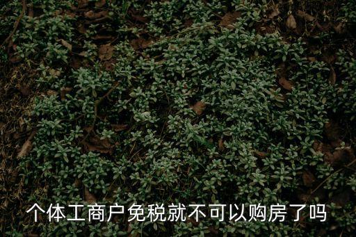 廣州個體戶免稅買房子，個體工商戶免稅就不可以購房了嗎