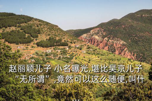 趙麗穎兒子 小名曝光,堪比吳京兒子“無所謂”,竟然可以這么隨便,叫什...