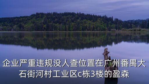 廣州番禺昨天那些新聞，企業(yè)嚴(yán)重違規(guī)沒人查位置在廣州番禺大石街河村工業(yè)區(qū)c棟3樓的盈森