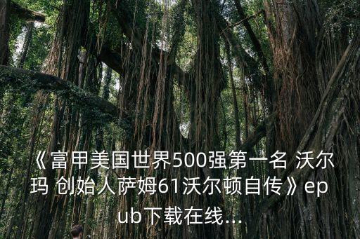 《富甲美國世界500強第一名 沃爾瑪 創始人薩姆61沃爾頓自傳》epub下載在線...