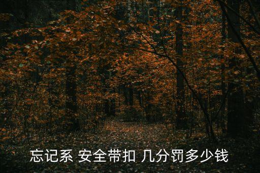 沒系安全帶扣幾分,駕駛機動車沒系安全帶扣幾分