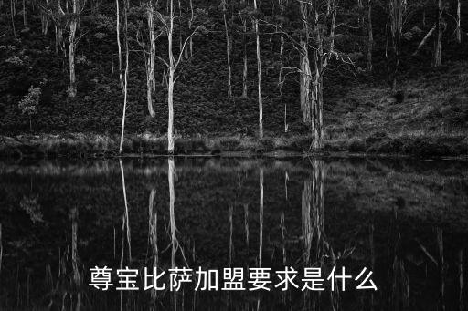 廣州尊寶披薩加盟條件，廣州加盟711的條件內容跟資金