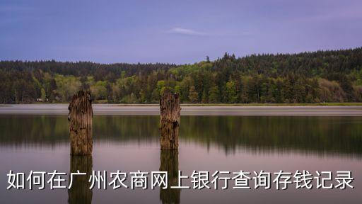 如何在廣州農(nóng)商網(wǎng)上銀行查詢存錢記錄