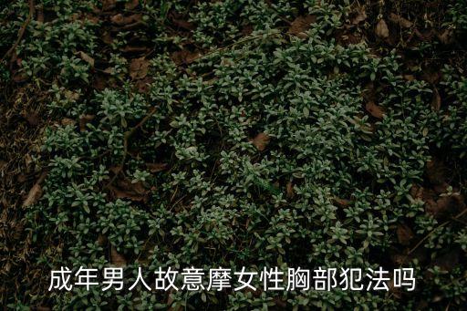 男摸女胸