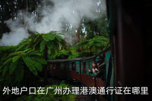 外地戶口在廣州辦理港澳通行證在哪里