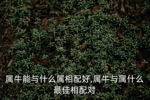 屬牛能與什么屬相配好,屬牛與屬什么最佳相配對