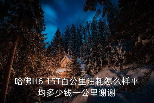 哈佛H6 15T百公里油耗怎么樣平均多少錢一公里謝謝
