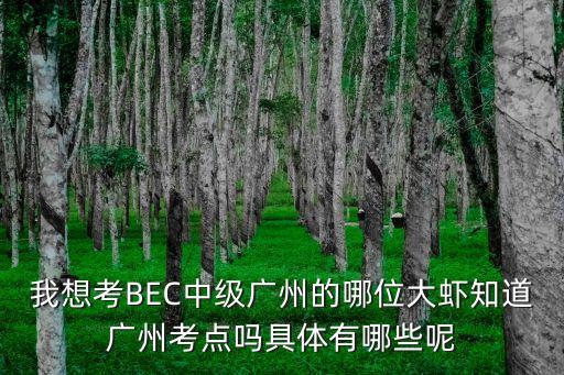 我想考BEC中級廣州的哪位大蝦知道廣州考點嗎具體有哪些呢