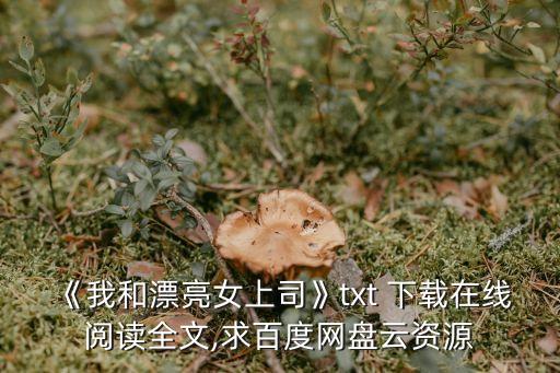 金蟬脫殼下載,口袋妖怪心金金蟬脫殼下載