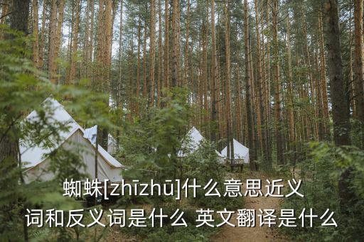 蜘蛛英文,我的世界蜘蛛英文