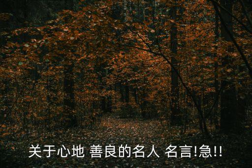 關(guān)于心地 善良的名人 名言!急!!