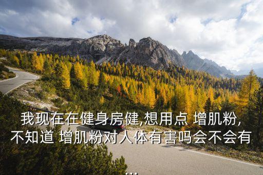 吃增肌粉的副作用,吃比肌酸粉和肌肉粉有副作用嗎?