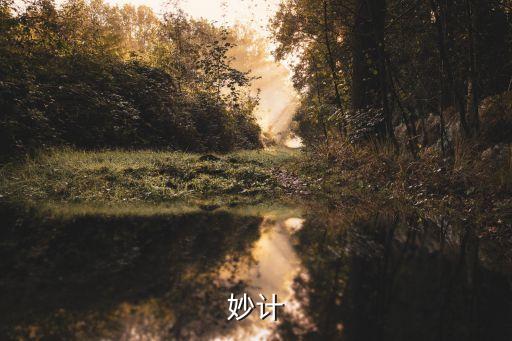妙計