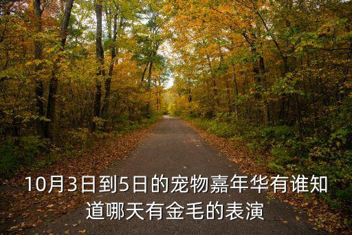廣州寵物嘉年華，QQ寵物里的嘉年華在哪我怎么找不到
