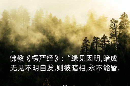 佛教《楞嚴(yán)經(jīng)》:“緣見因明,暗成 無見不明自發(fā),則彼暗相,永不能昏...