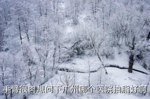 手臂很肉想問下廣州哪個醫院抽脂好啊
