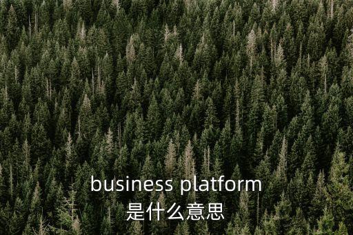 platform是什么意思