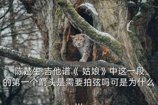 陳楚生姑娘吉他譜,nn按照4拍的節奏分解這張圖