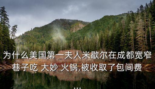 大妙火鍋,成都火鍋店鋪排名出爐火鍋味道超級棒!
