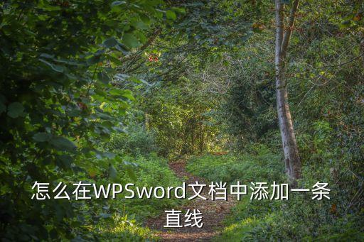 怎么在WPSword文檔中添加一條 直線