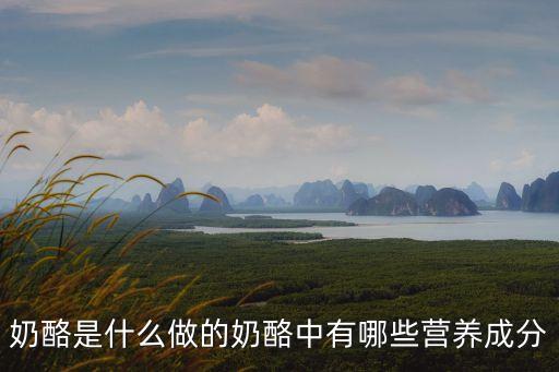 奶酪是什么做的奶酪中有哪些營養成分
