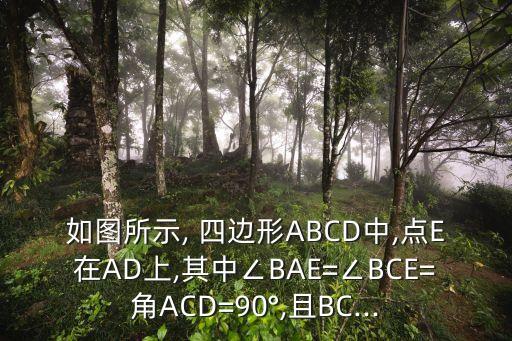 如圖所示, 四邊形ABCD中,點E在AD上,其中∠BAE=∠BCE=角ACD=90°,且BC...